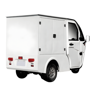 Preview: JONWAY HSL CARGO ELEKTRO-LASTENDREIRAD 25-45 KM/H